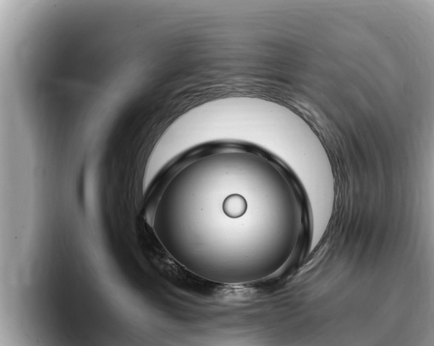 X0000093410429200710190949