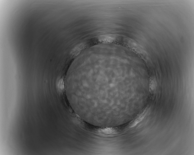 X0000093410431200710190949