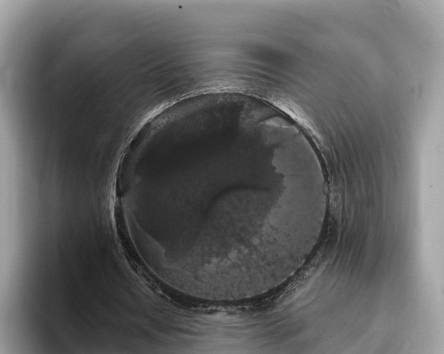 X0000093410434200710190948