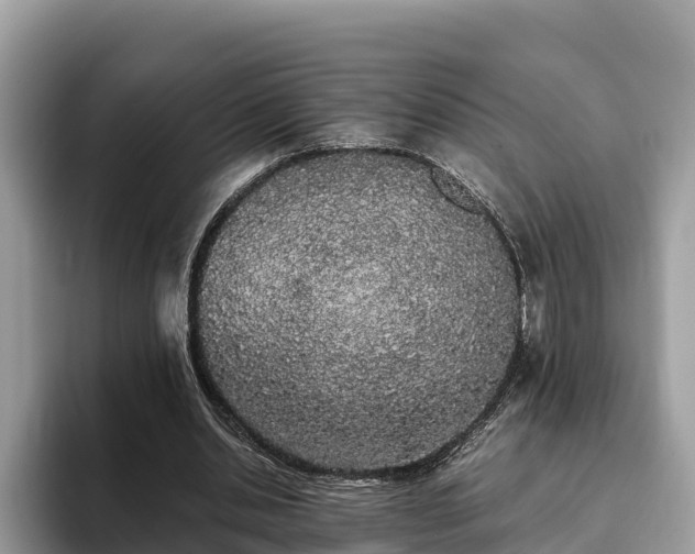 X0000093410438200710190948