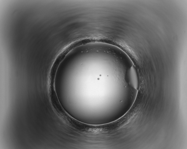 X0000093410440200710190948