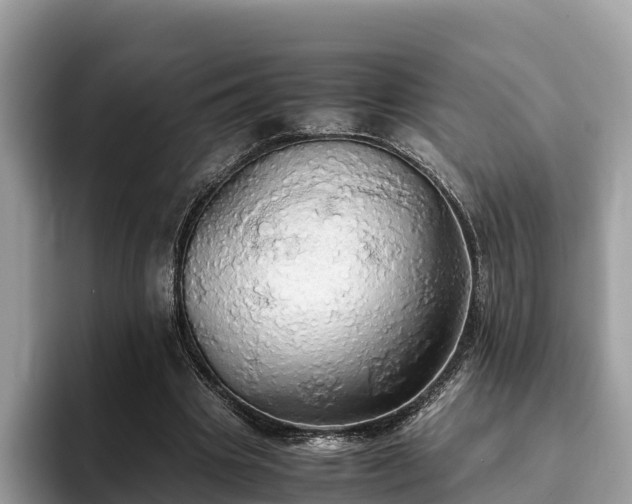 X0000093410441200710190948