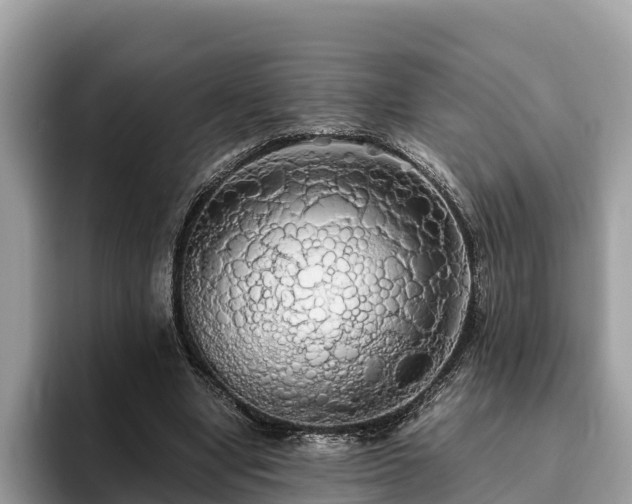 X0000093410442200710190948