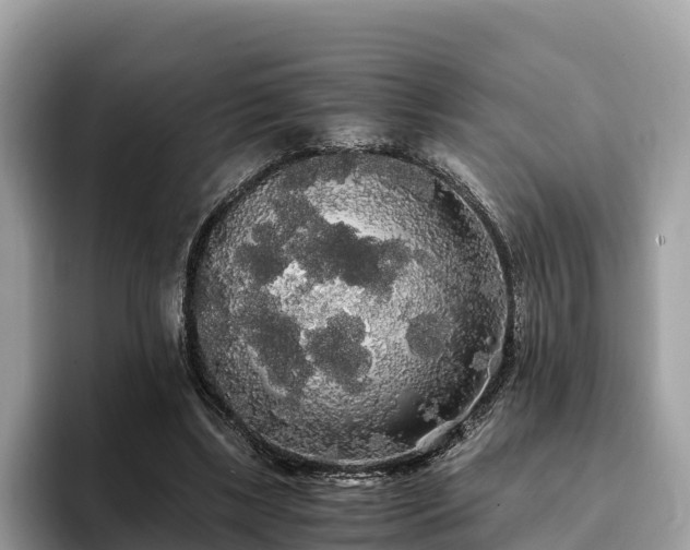 X0000093410443200710190948