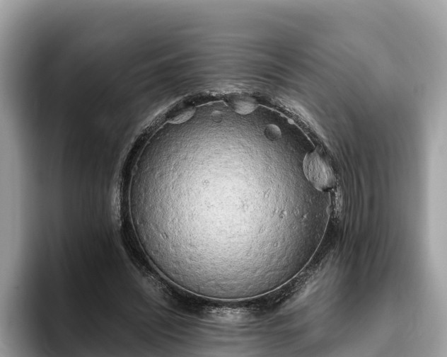 X0000093410444200710190948