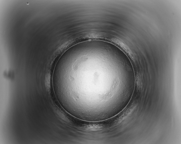 X0000093410445200710190948