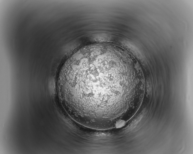 X0000093410453200710190948