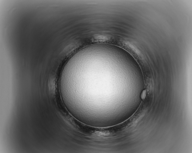 X0000093410455200710190948