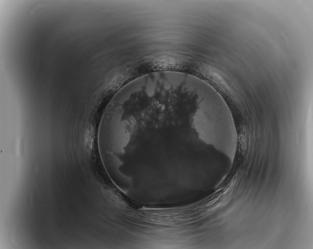 X0000093410458200710190948