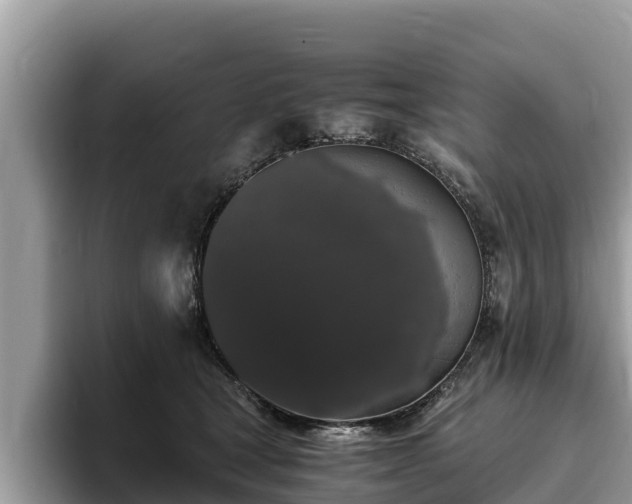 X0000093410465200710190948