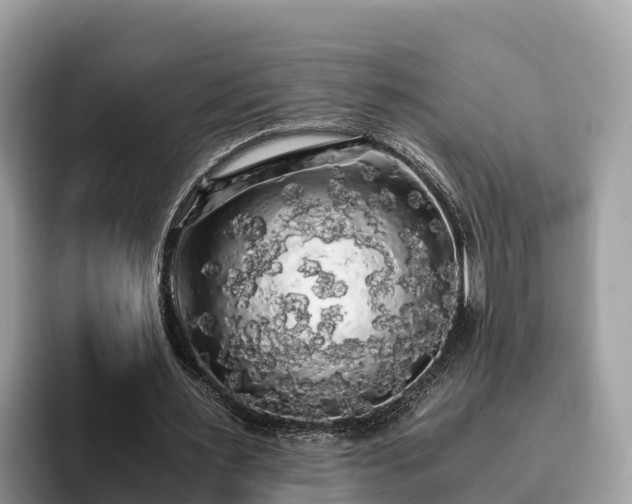 X0000093410483200710190948