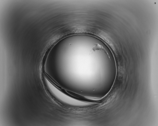 X0000093410485200710190948