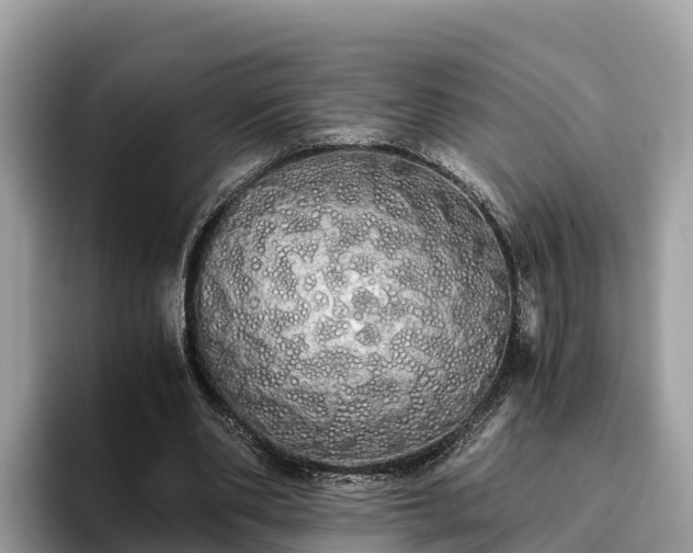 X0000093410486200710190948