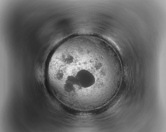 X0000093410487200710190948