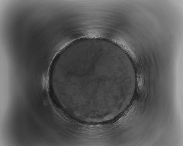 X0000093410488200710190948