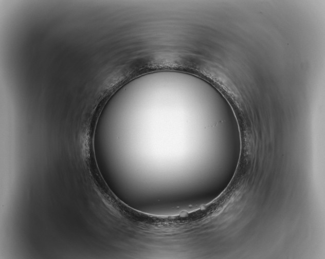 X0000093410489200710190948