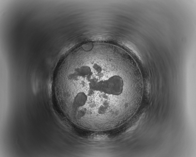 X0000093410491200710190948