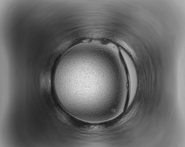 X0000093410493200710190948