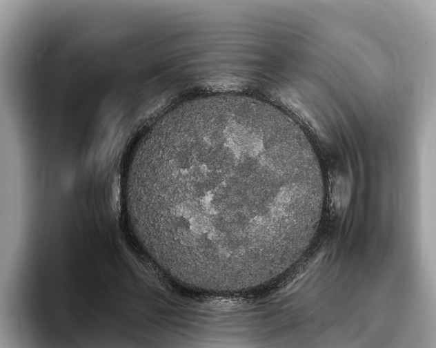 X0000093410494200710190948