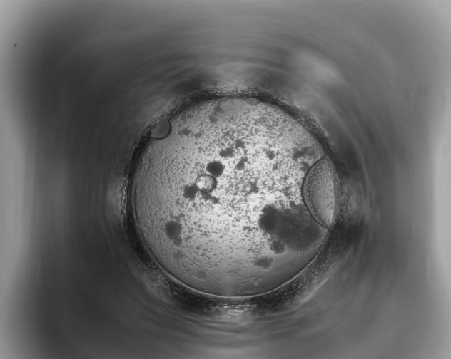 X0000093410495200710190948