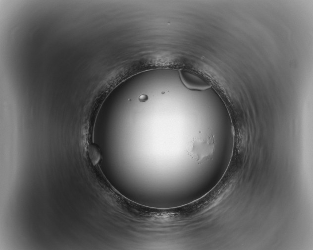 X0000093410497200710190948