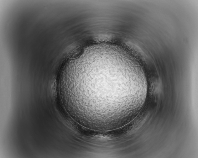 X0000093410498200710190948