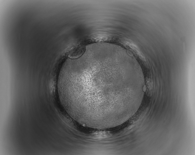 X0000093410499200710190948