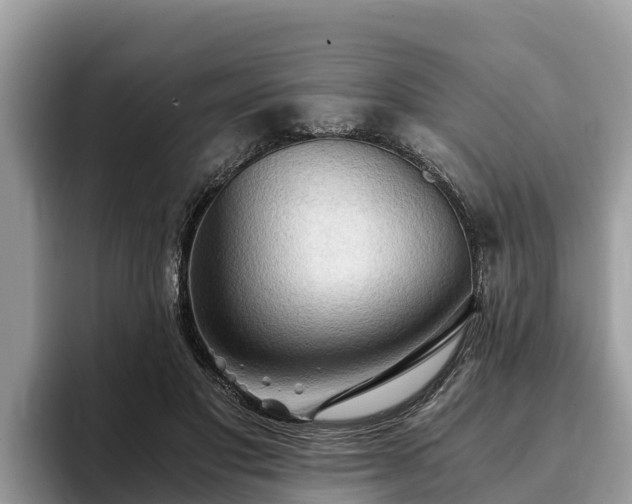 X0000093410501200710190948