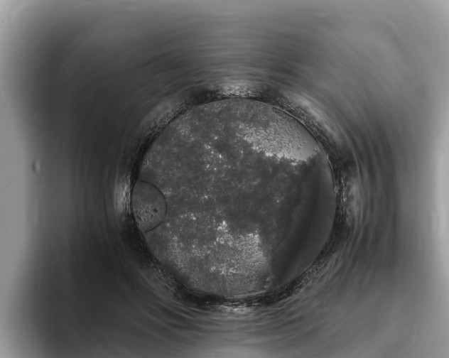 X0000093410502200710190948