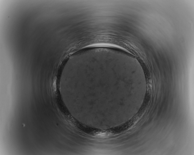 X0000093410504200710190948