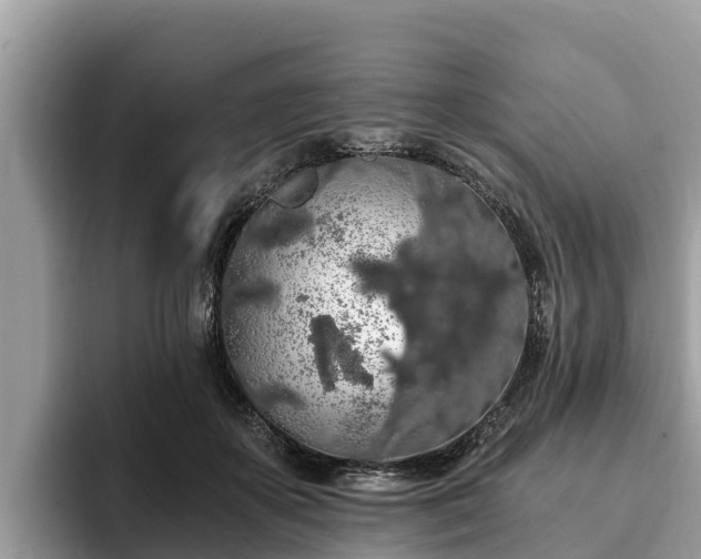 X0000093410507200710190948