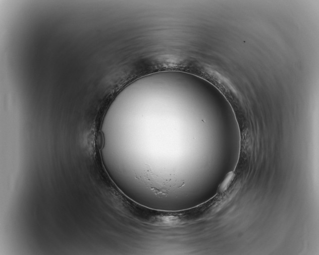 X0000093410509200710190947