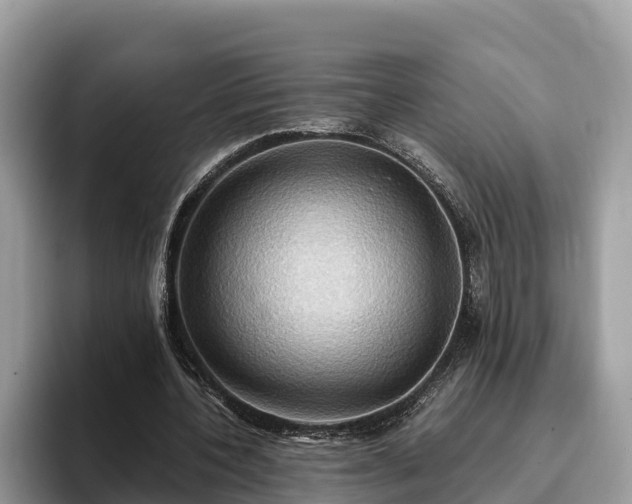 X0000093410532200710190947