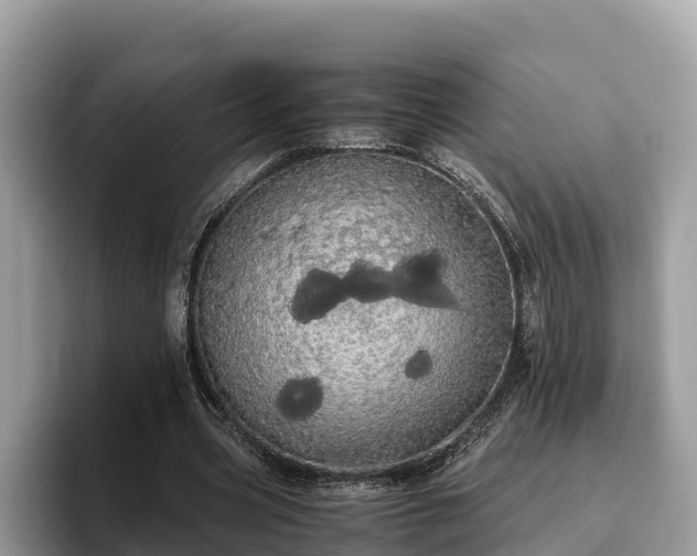 X0000093410533200710190947