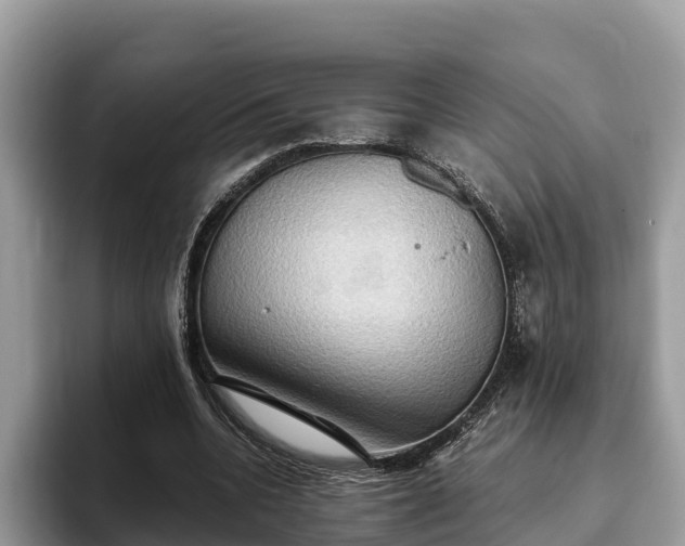 X0000093410536200710190947