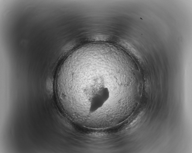 X0000093410537200710190947