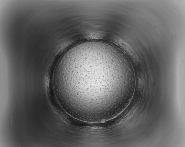 X0000093410539200710190947