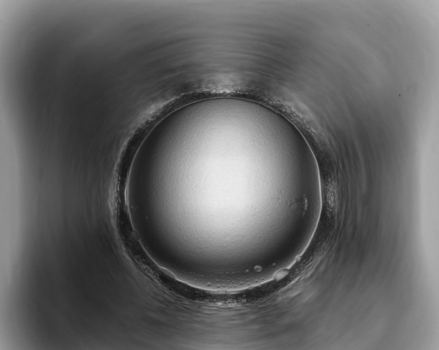 X0000093410540200710190947