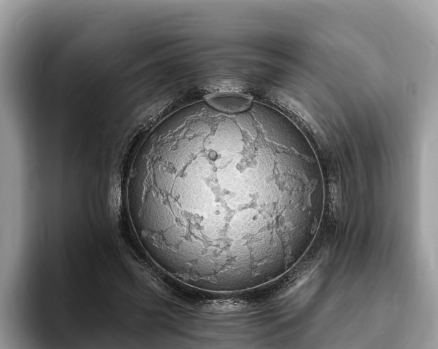 X0000093410541200710190947