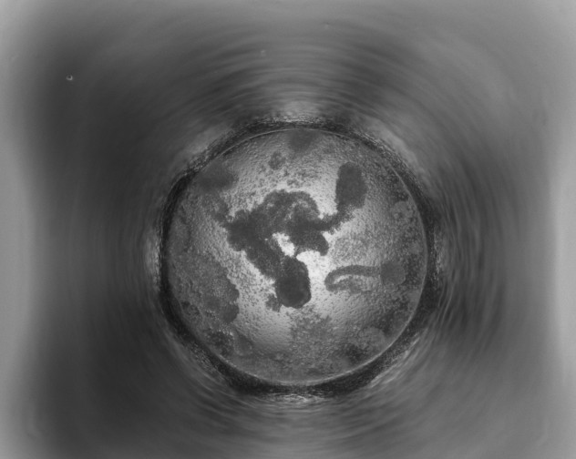 X0000093410542200710190947