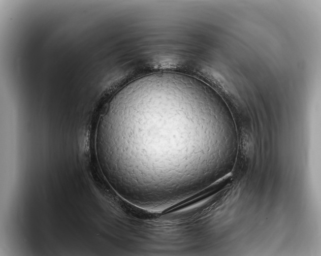 X0000093410543200710190947