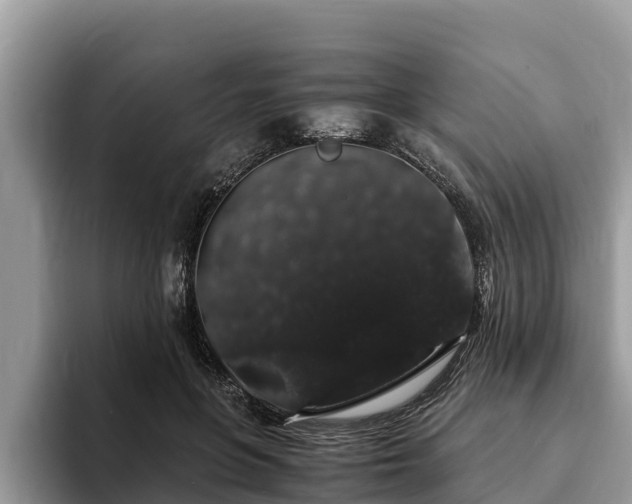 X0000093410551200710190947