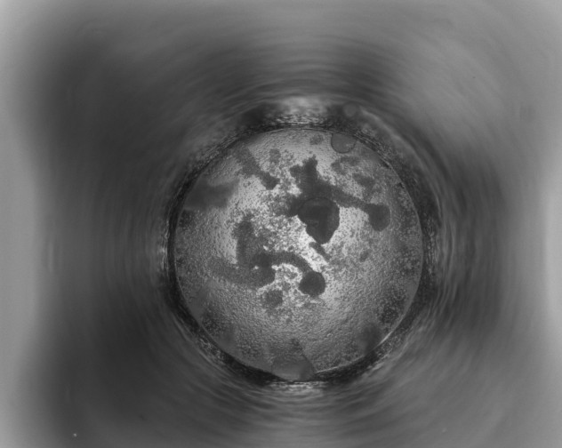 X0000093410553200710190947