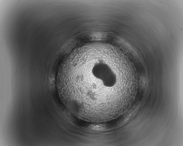 X0000093410557200710190947