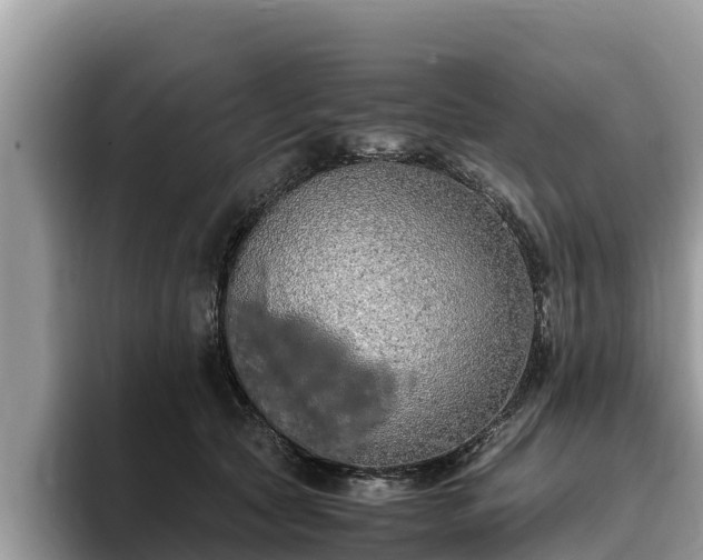 X0000093410561200710190947