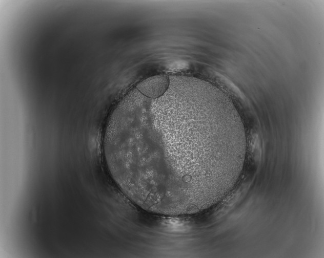 X0000093410565200710190947