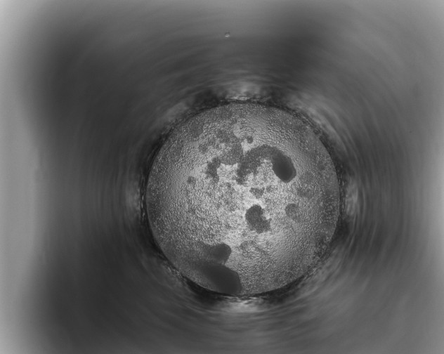 X0000093410569200710190947