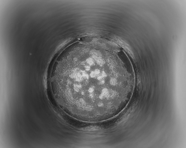 X0000093410578200710190947