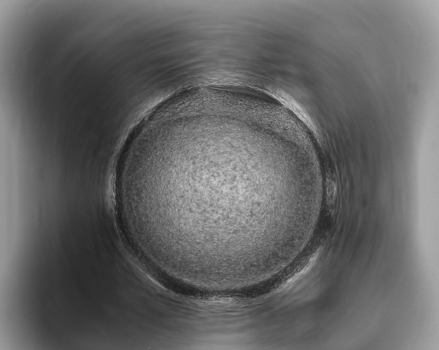 X0000093410581200710190947