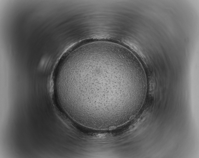 X0000093410584200710190947